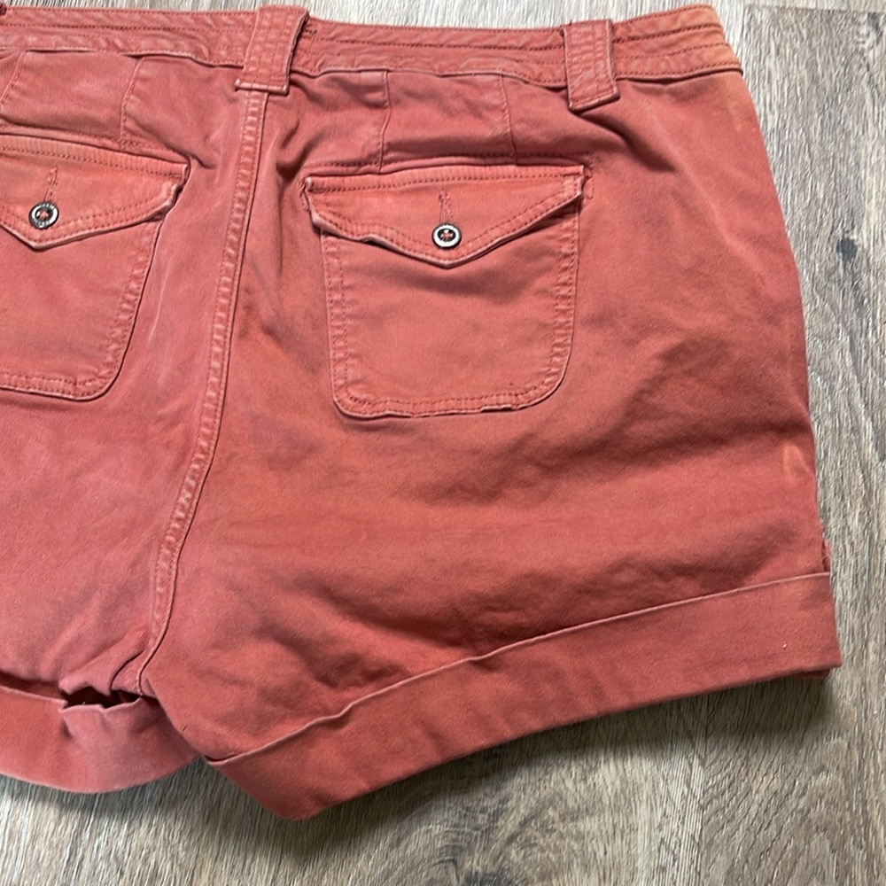 Torrid Shorts - Picture 8 of 15